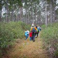 The Impact of Public Policies in Orange County, Florida
