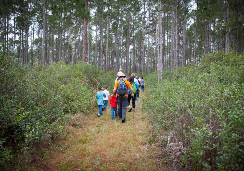 The Impact of Public Policies on Environmental Conservation in Orange County, Florida
